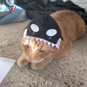 Profile avatar image for JohnAulus