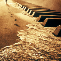 Profile avatar image for Antonyo