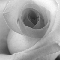 Profile avatar image for ACFernandez