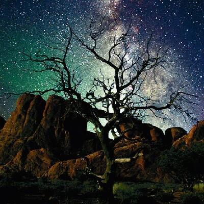 Profile avatar image for wonderlust