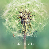 Profile avatar image for RosalieRose