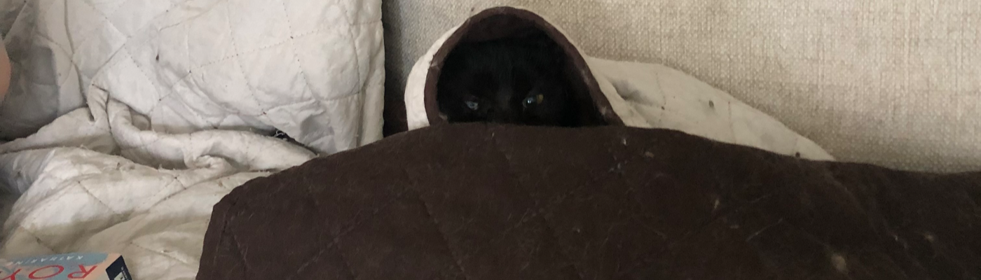 Profile banner image for LexCat