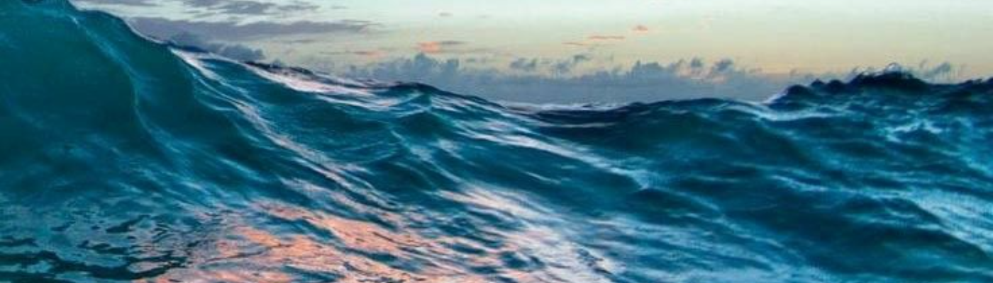 Profile banner image for TheCatCafe