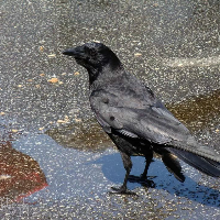 Profile avatar image for sfegely