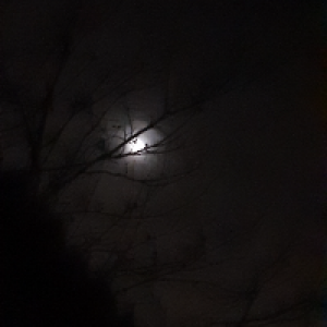 Profile avatar image for Stef1234