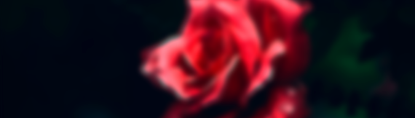 Profile banner image for aooborromeo