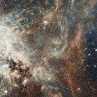 Profile avatar image for livethechaos