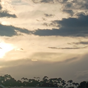 Profile avatar image for Lincoln