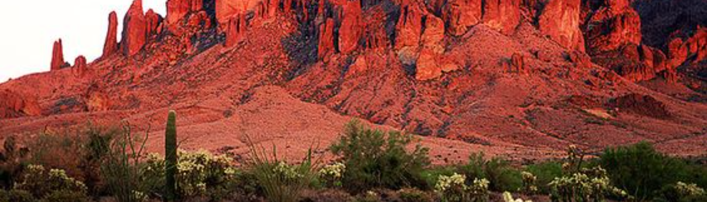 Profile banner image for Jensa