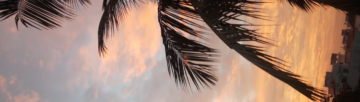 Profile banner image for Sharmilamit