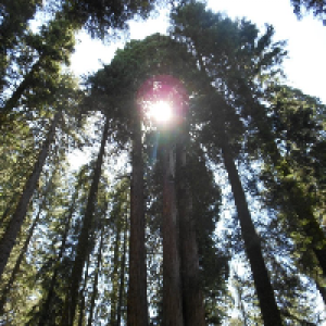 Profile avatar image for VoidsideAngel