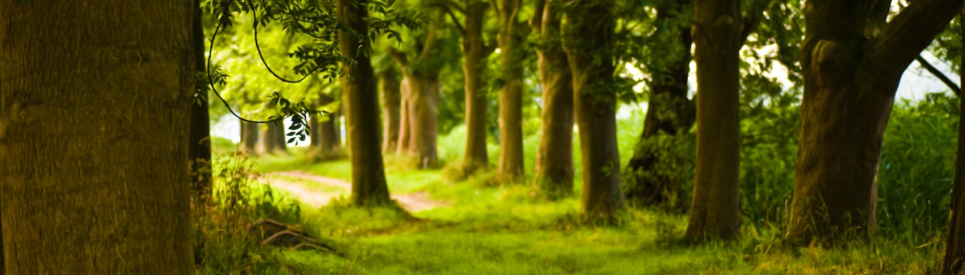 Profile banner image for prettyboy