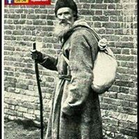 Profile avatar image for TigerMood