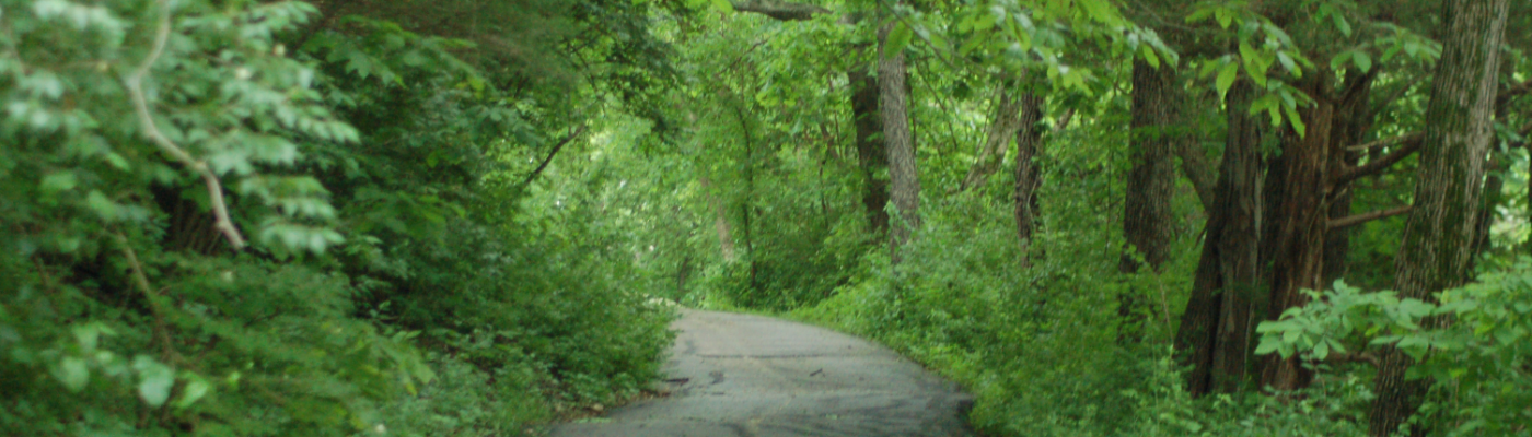 Profile banner image for SpencertheElf