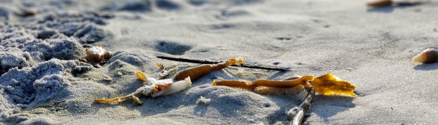 Profile banner image for Miika