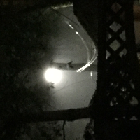 Profile avatar image for midnight_