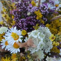 Profile avatar image for strawbbykisses