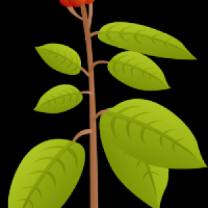 Profile avatar image for danielfoster