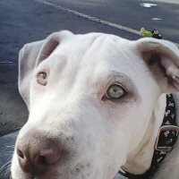 Profile avatar image for BeckyJo