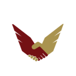 Profile avatar image for WinggsGlobal