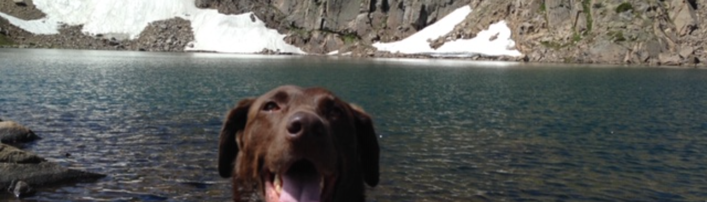 Profile banner image for Tooheytails