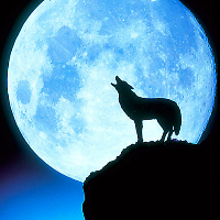 Profile avatar image for Moonwolf