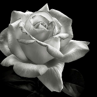 Profile avatar image for BeyondThePages