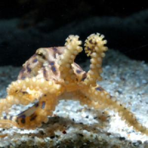 Profile avatar image for saucyj