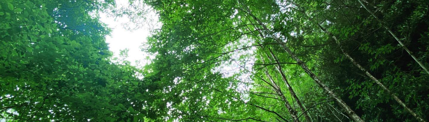 Profile banner image for jaylee77