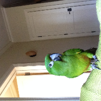 Profile avatar image for KatyaD