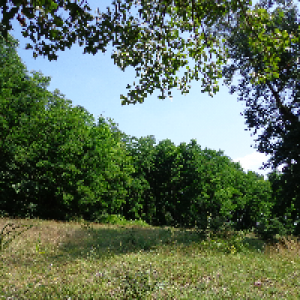 Profile avatar image for Ada_Ra