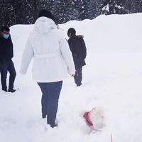 Profile avatar image for FumikoArisawa