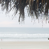 Profile avatar image for evelcic