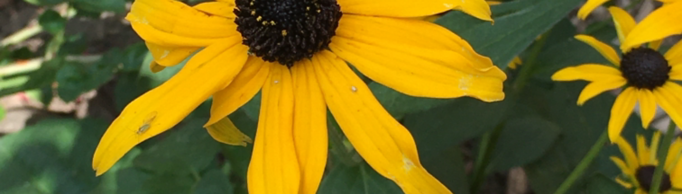 Profile banner image for JuanitaE