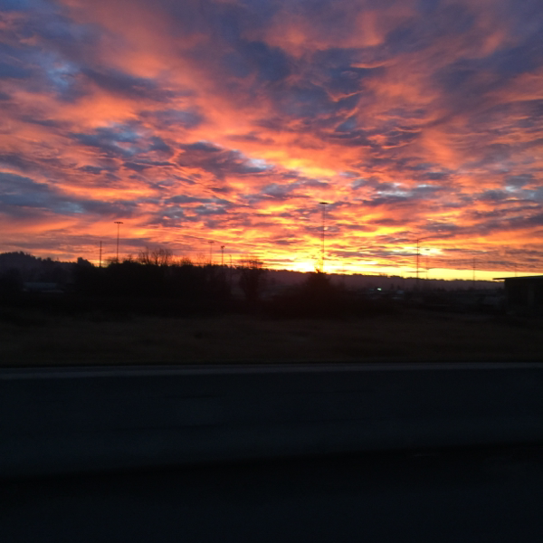 Profile avatar image for MY3G