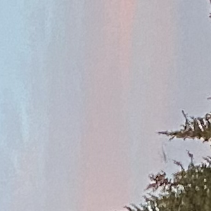 Profile avatar image for ldr