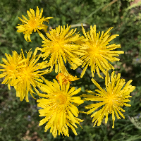 Profile avatar image for title