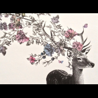 Profile avatar image for sloanerose