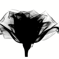 Profile avatar image for secretlydamaged