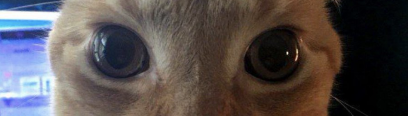 Profile banner image for Nydro