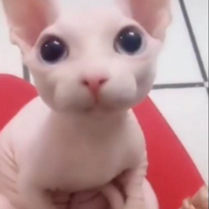 Profile avatar image for Nydro