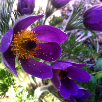 Profile avatar image for InvisibleWriter