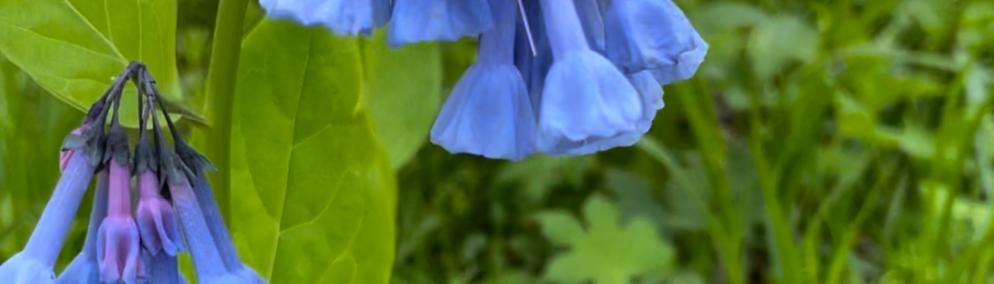 Profile banner image for AlexInReality