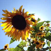 Profile avatar image for Abbygracelind