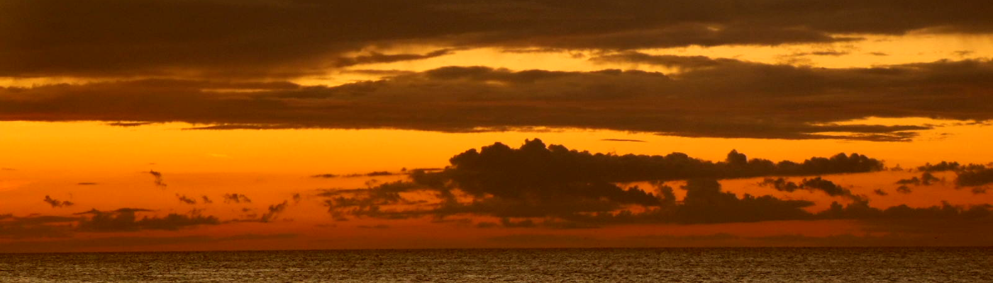 Profile banner image for Droe81