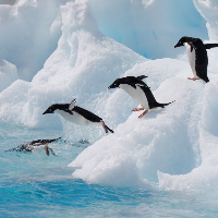 Profile avatar image for meld21