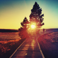 Profile avatar image for jaimes_moj