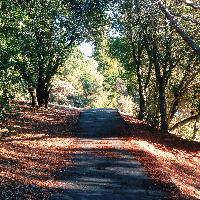 Profile avatar image for Camille_Elle