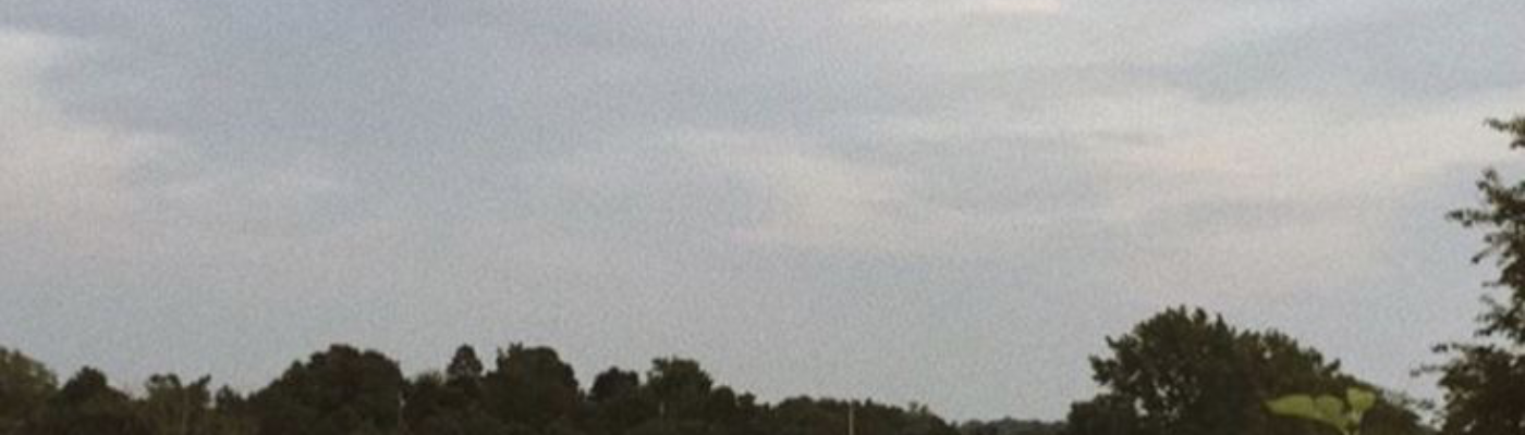 Profile banner image for love_soph