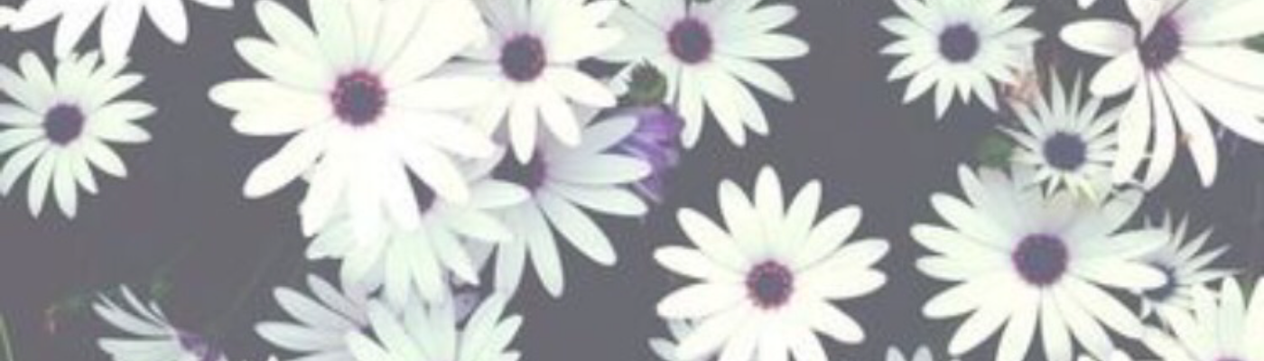 Profile banner image for alyssia